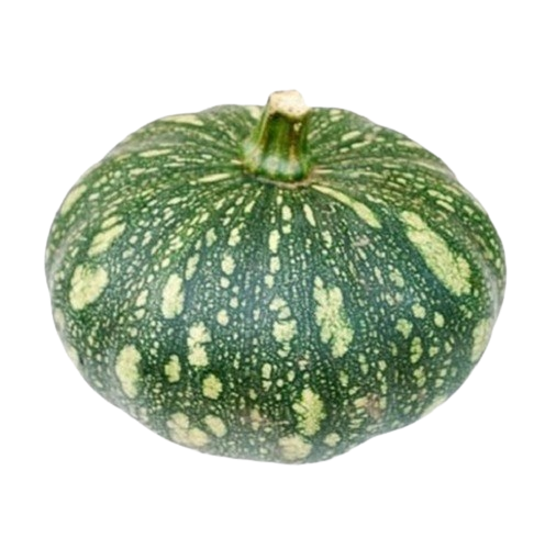 Kacha Kumra (কাঁচা কুমড়া)