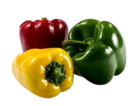 CAPSICUM 250 GM